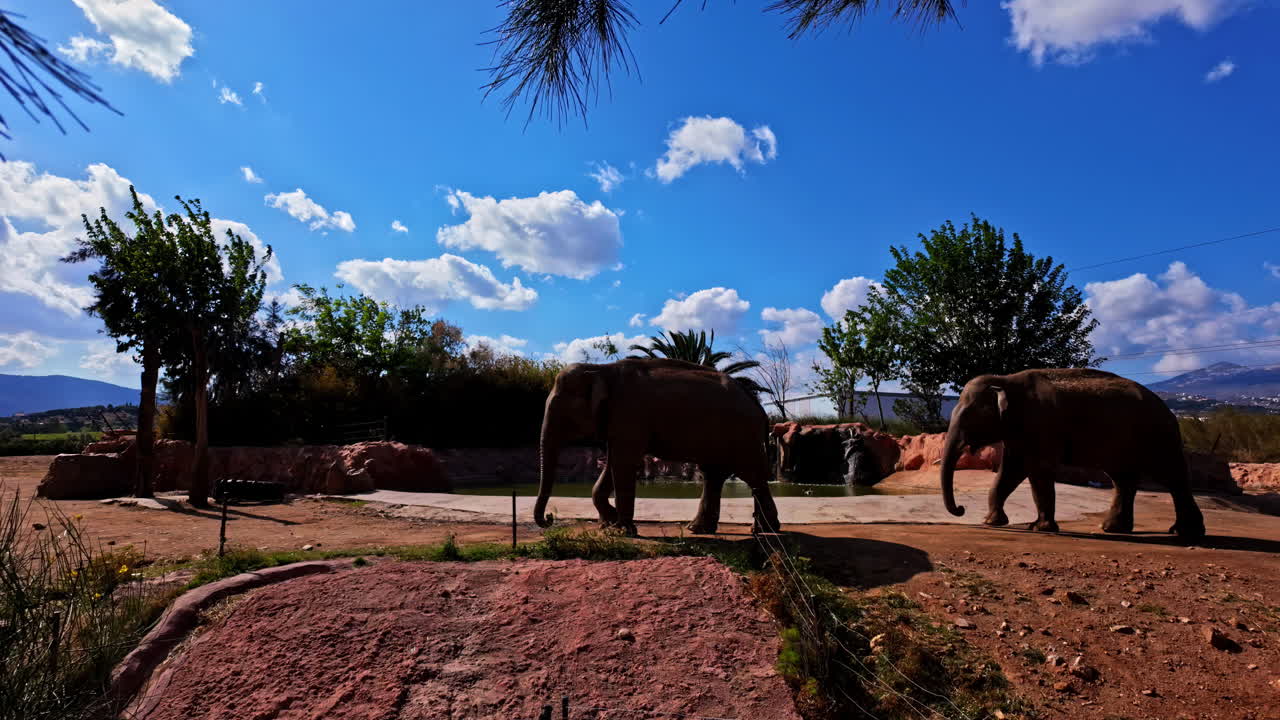 아티카 동물원, 코끼리 전시장