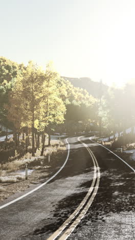 scenic autumn road through a forest