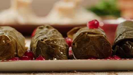 delicious stuffed grape leaves (dolma) on a plate