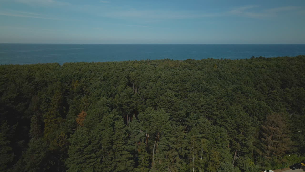 Drone slow gentle rise over the beautiful green forest on sea background in Debki village, Baltic Sea, Poland