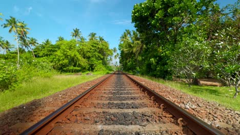 train tracks through a tropical paradise