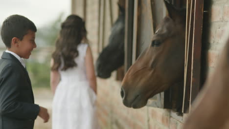 a boy in a suit and a girl in a white dress, dressed as pageboys, gently pet two horses from a stable window.