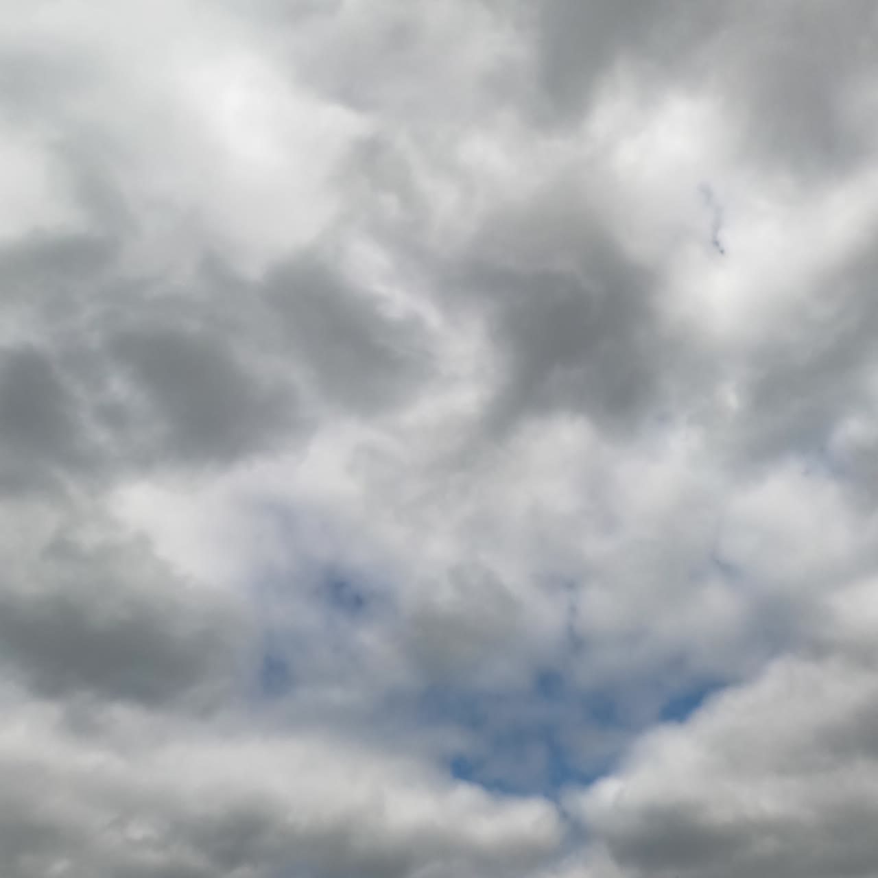 Thick cumulus clouds gathering in the sky. Quick cloudscape transformation timelapse. Low angle view