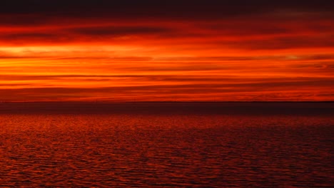 Lapso-De-Tiempo-De-Puesta-De-Sol-Roja-Ardiente-Con-Una-Garza-Sorprendida-Haciendo-Un-Cameo