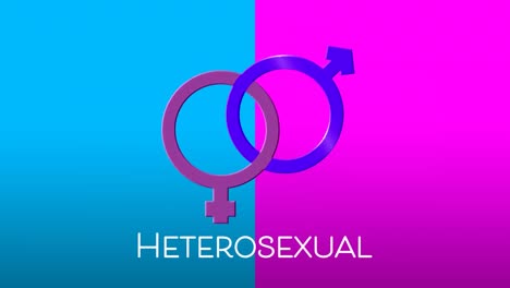animación de texto heterosexual y vinculado rosado y púrpura símbolos de género femenino y masculino, en gris