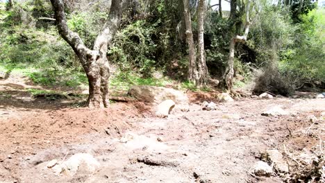 Cielo-De-La-Aldea-Al-Aire-Libre-Hermoso-Paisaje-De-La-Aldea-Del-Bosque-Del-Paisaje-Aéreo---Fotografía-Aérea-Del-Bosque-Rural-Kenia---Controlador-Inalámbrico-De-Drones-Quadcopter