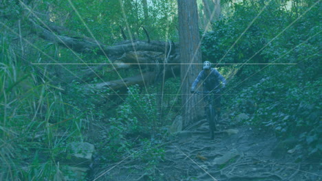 cyclist riding mountain bike along forest trail, overlaying heart rate chart and health icon