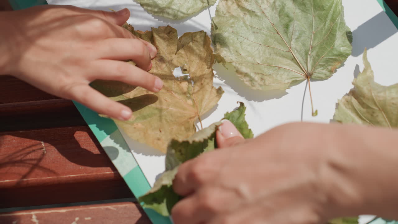 Manos arreglando hojas, mamá e hija colocando follaje seco en un collage con barra de pegamento, alisando y aplanando con dedos cuidadosos, escena en un banco al aire libre bañada por la cálida luz del sol, aprendizaje lúdico.