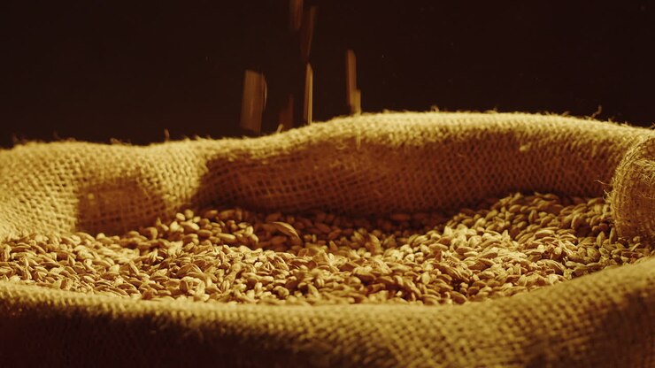 Hand pouring barley grains into a burlap bag