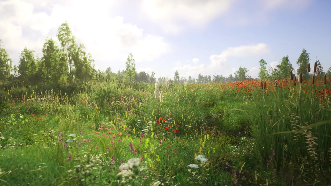 Sunshine illuminates blooming meadow with swaying grass and trees
