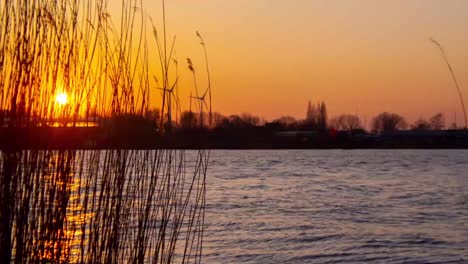 timelapse of a river sunset with windmills in background