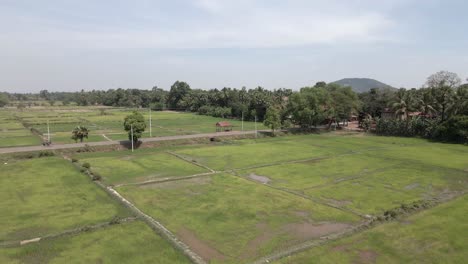 Vuelo-Bajo-Sobre-Campos-De-Arroz-Verde-En-La-Región-De-Siem-Reap-De-Camboya