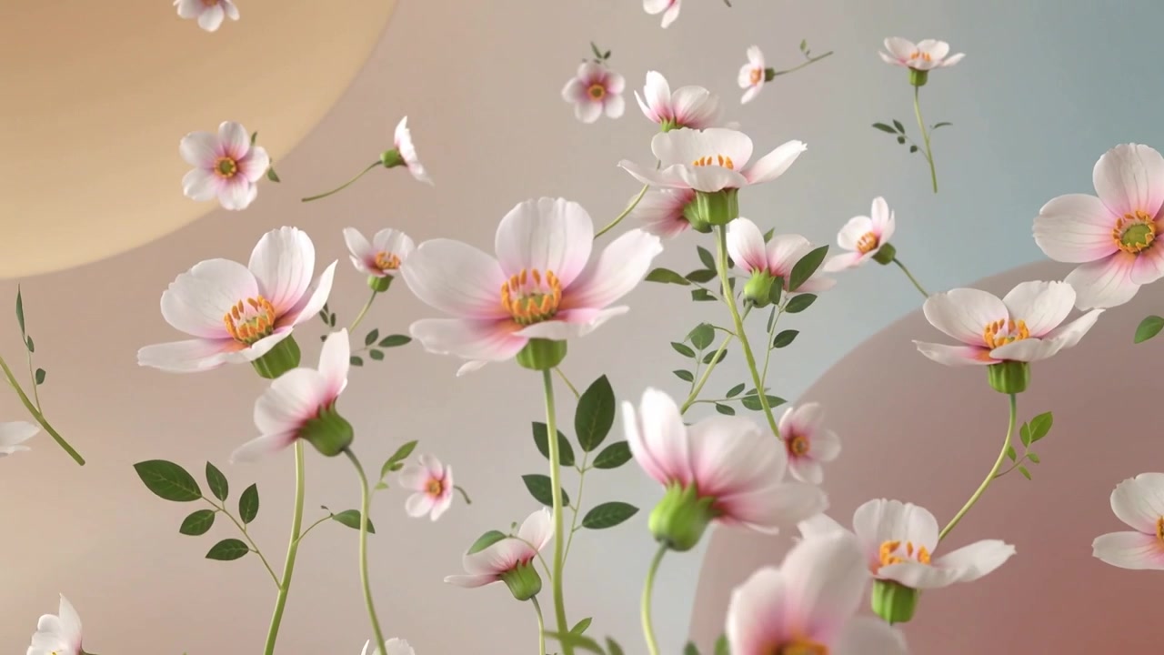 Blooming soft blossoms filling pastel backdrop as frames advance, revealing yellow centers, stems