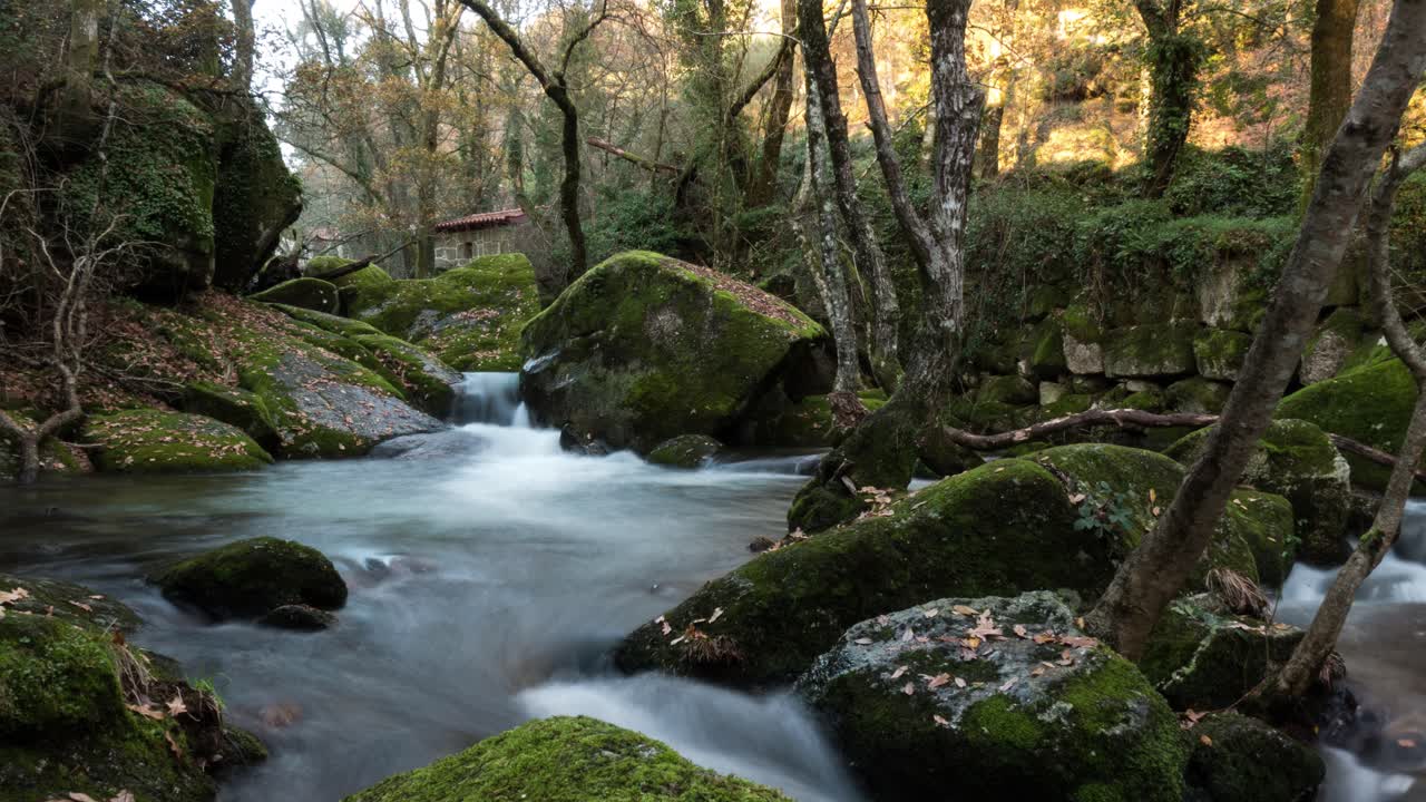 Timelapse van een bergrivier die tussen de stenen doorstroomt midden in een bos