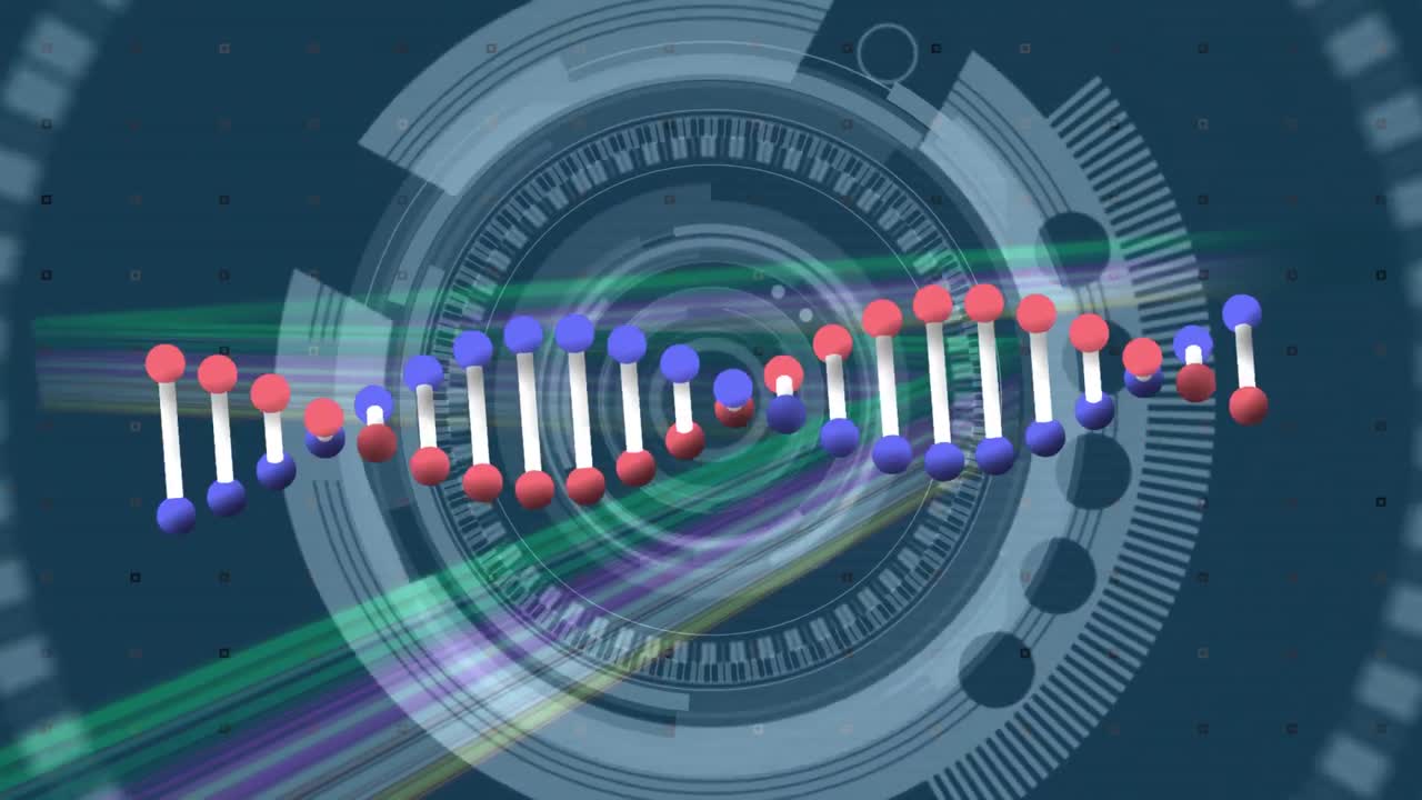 범위 스캐닝과 연결 네트워크에 대한 dna  ⁇ 의 애니메이션