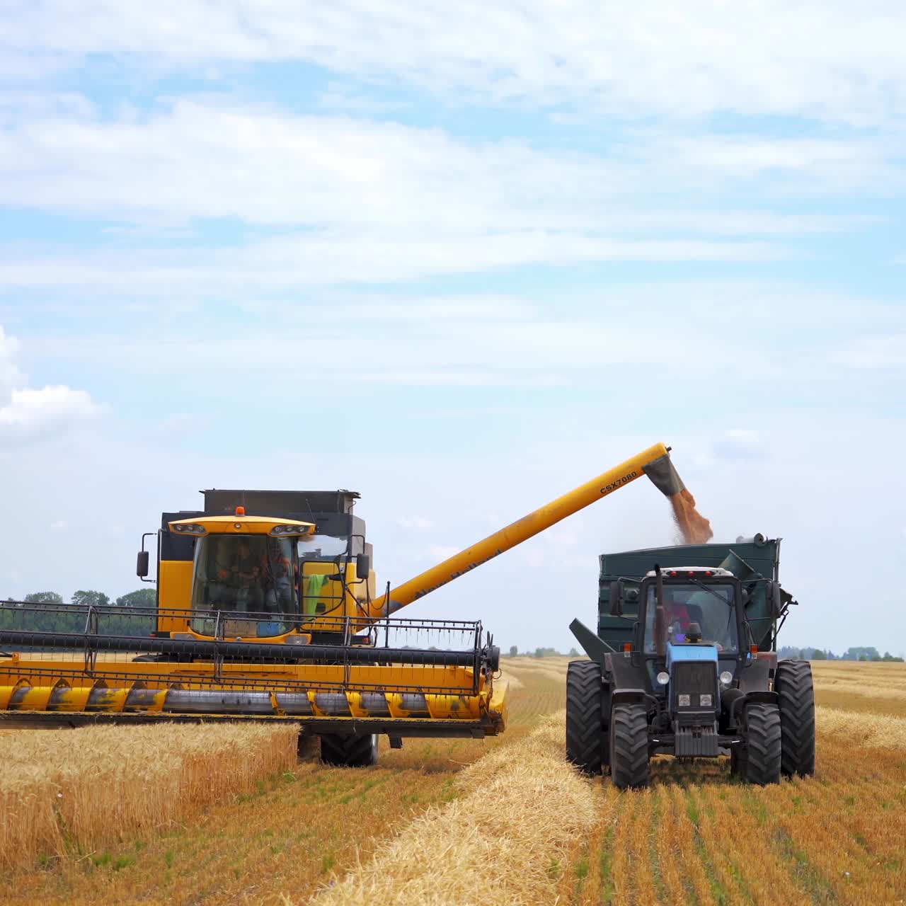 Harvester working in the field