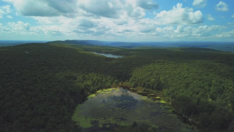 Aerial-shot-of-lake-surrounded-by-a-forest