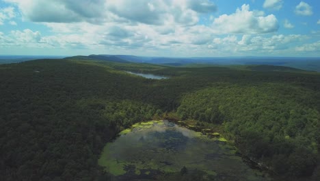 aerial shot of lake surrounded by a forest
