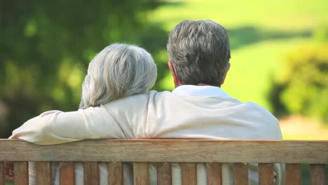 elderly couple talking while sitting on a bench