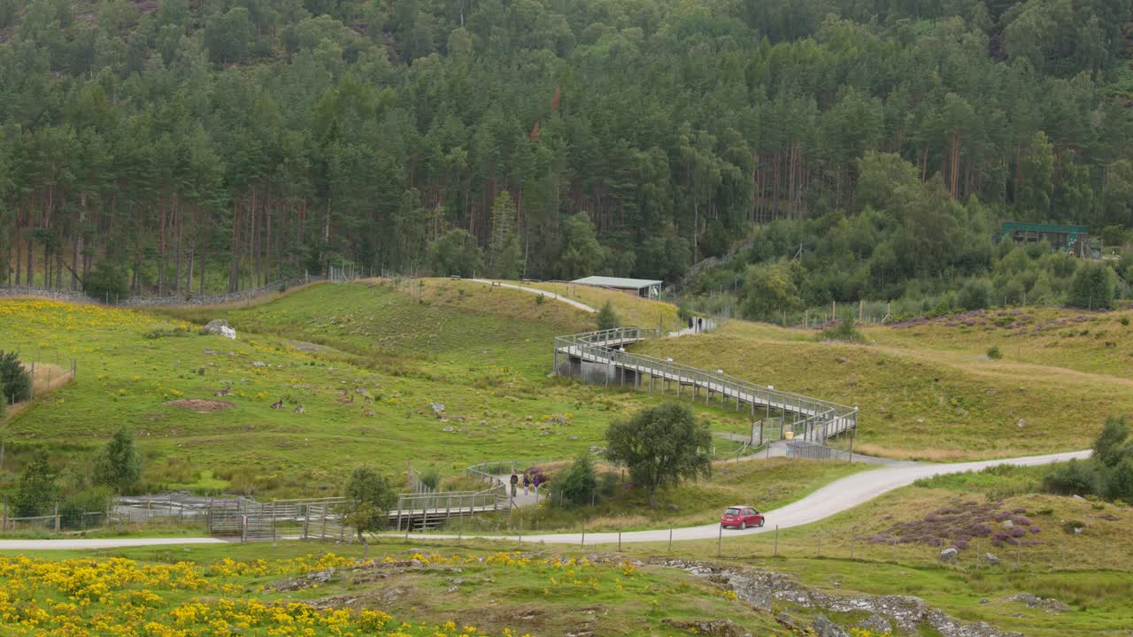 Red car on winding road and bridge through lush green Highlands, overcast daylight, wide shot