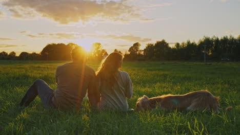 couple and dog enjoying a sunset in a meadow