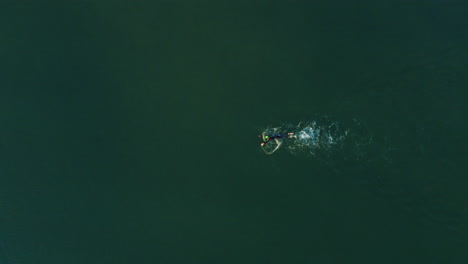 aerial 4k drone top down view of professional athlete swimming alone in open ocean, australia