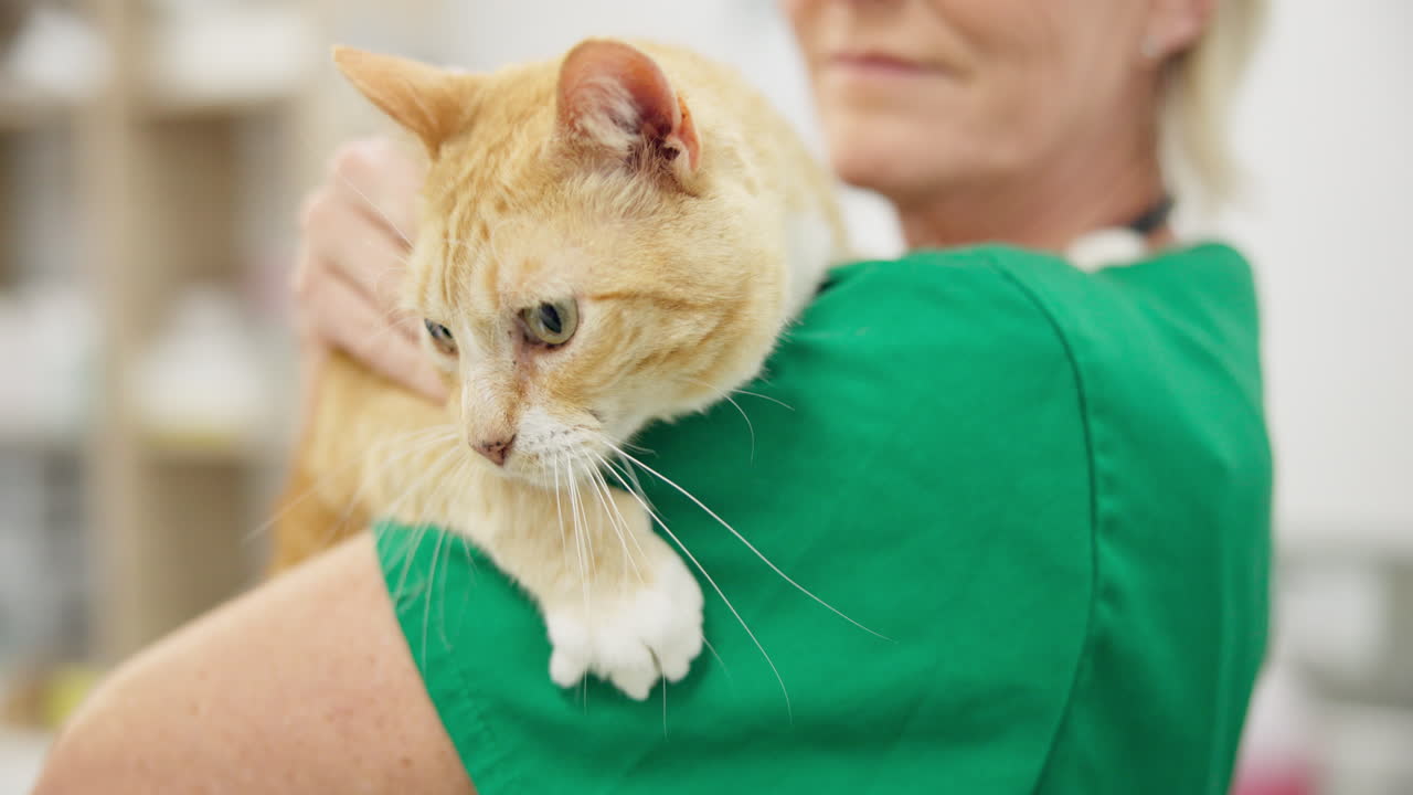 veterinario, médico o gato con un abrazo para la atención médica