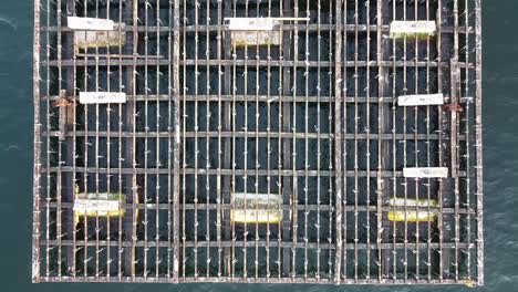 fish cage in sea water