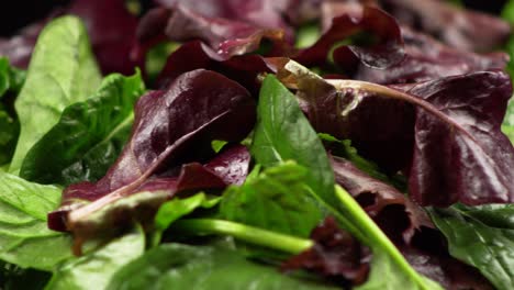 close up macro of rotating fresh green colorful salad and spinach