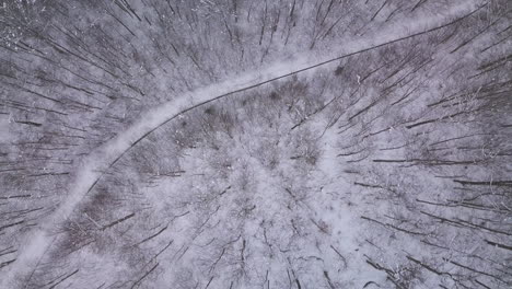 [Aerial-shot]-Drone-flying-above-a-small-forest-road-that-separates-the-trees-covered-by-snow