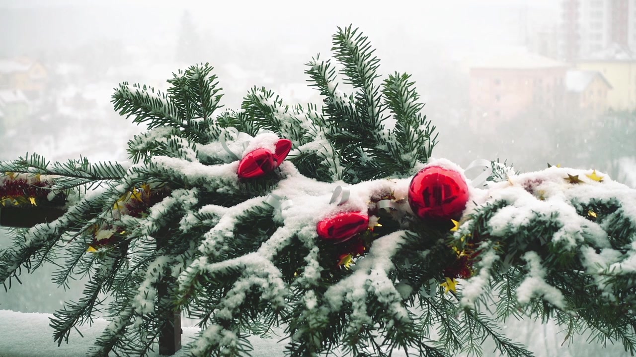 Kar altında oyuncaklarla süslenmiş Noel ağacı dalları