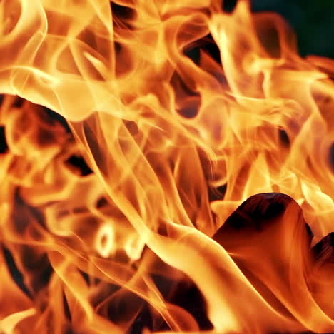 a burning bonfire on vacation during a hike in the forest. divorced for cooking and for keeping warm in the cold evening.