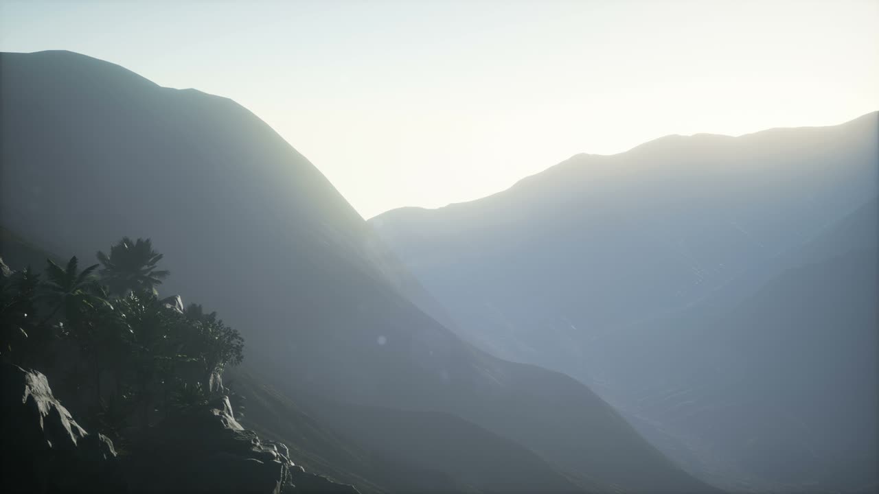 ⁇ 나무 를 가로지르는 해 가 지는 광선