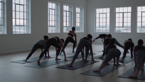 yoga class group of multiracial women practicing warrior pose enjoying healthy lifestyle exercising in fitness studio at sunrise