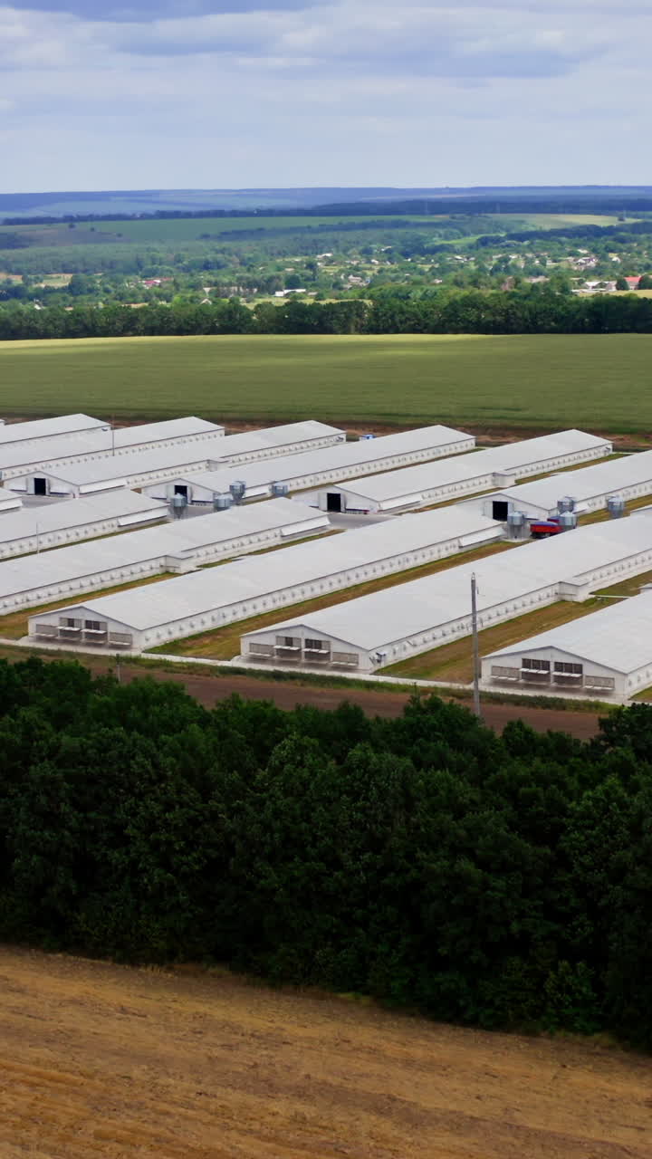 White barns on field. Modern farm among beautiful green nature. Rows of agriculture buildings in rural place in summer. Drone view. Vertical video