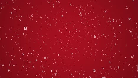 símbolos blancos de la moneda virtual bitcoin cayendo sobre un fondo rojo. simple bucle sin costuras negocio movimiento gráfico elementos animados