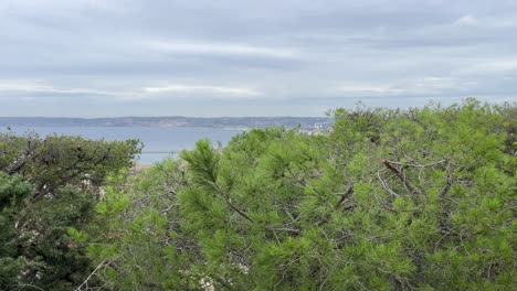 Pan-up-to-a-panoramic-view-of-the-City-of-Nice,-France-from-Castle-Hill-with-the-Mediterranean-coast-in-the-background