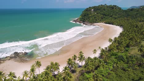 aerial of calm waves lapping over a sandy beach with tourists and palm trees, brazil