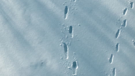 Footprints-in-the-snow-create-a-path-across-a-pristine-winter-landscape