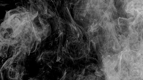 smoke on black background. black and white abstraction.