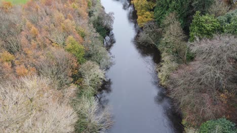 reflection on calm water - river liffey in county wicklow during fall season in ireland - aerial drone, tilt-up