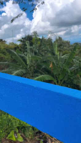 vista panorámica de las montañas con vegetación exuberante y paisaje urbano