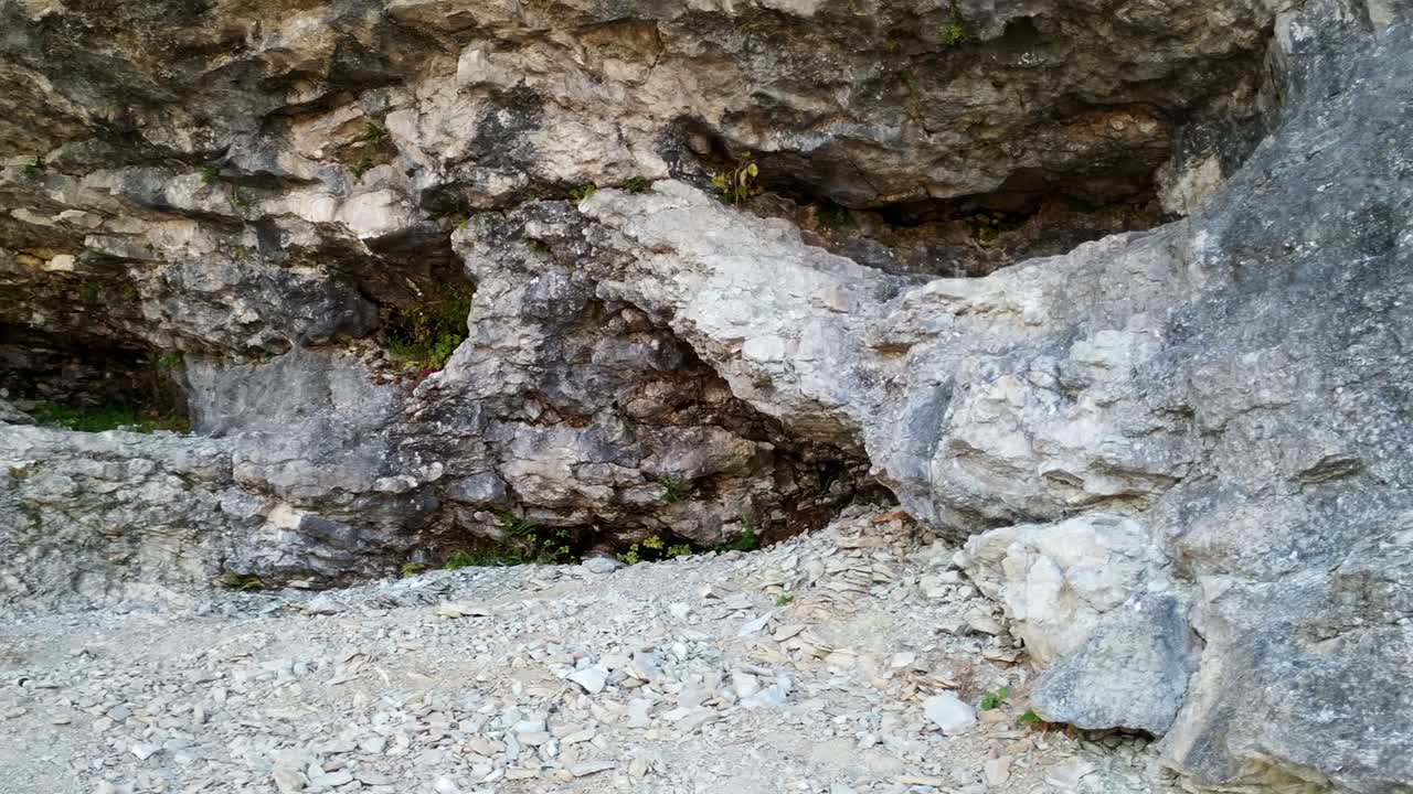 uugu 자연 공원 에스토니아의 풍경에서 평화를 찾는 솔로 독립 여성