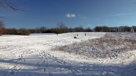 a wide shot of people enjoying the beautiful winter weather