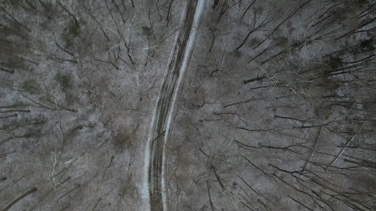 Vista dall'alto direttamente sopra una strada sterrata con neve e alti pini, alcuni senza foglie.