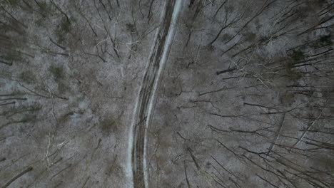 A-top-down-view-directly-above-a-dirt-road-with-snow-and-tall-pine-trees,-some-with-no-leaves