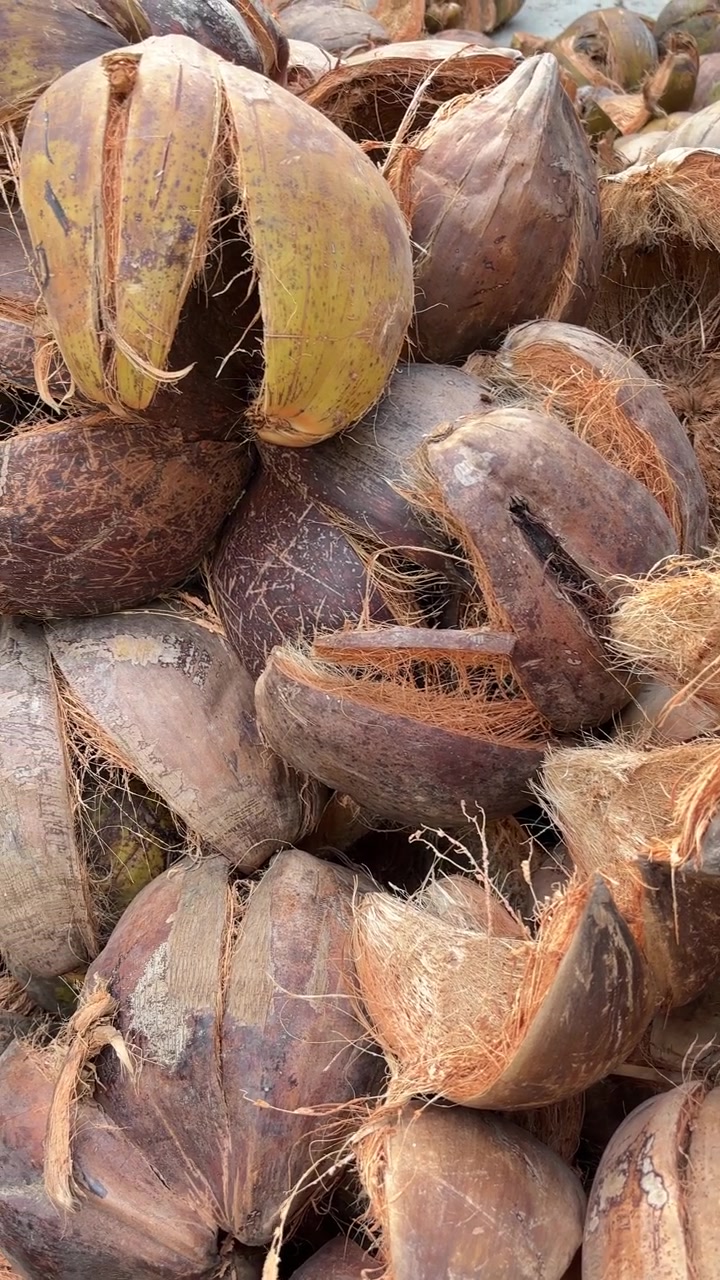 Close-up View of a Large Pile of Coconut Husks