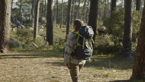 young woman backpacker hiking in the forest on a sunny day 1