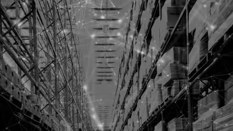 animation of network of connections over shelves in warehouse