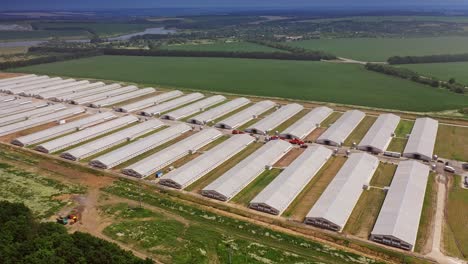 aerial view over the poultry farms. agriculture industry in countryside from above